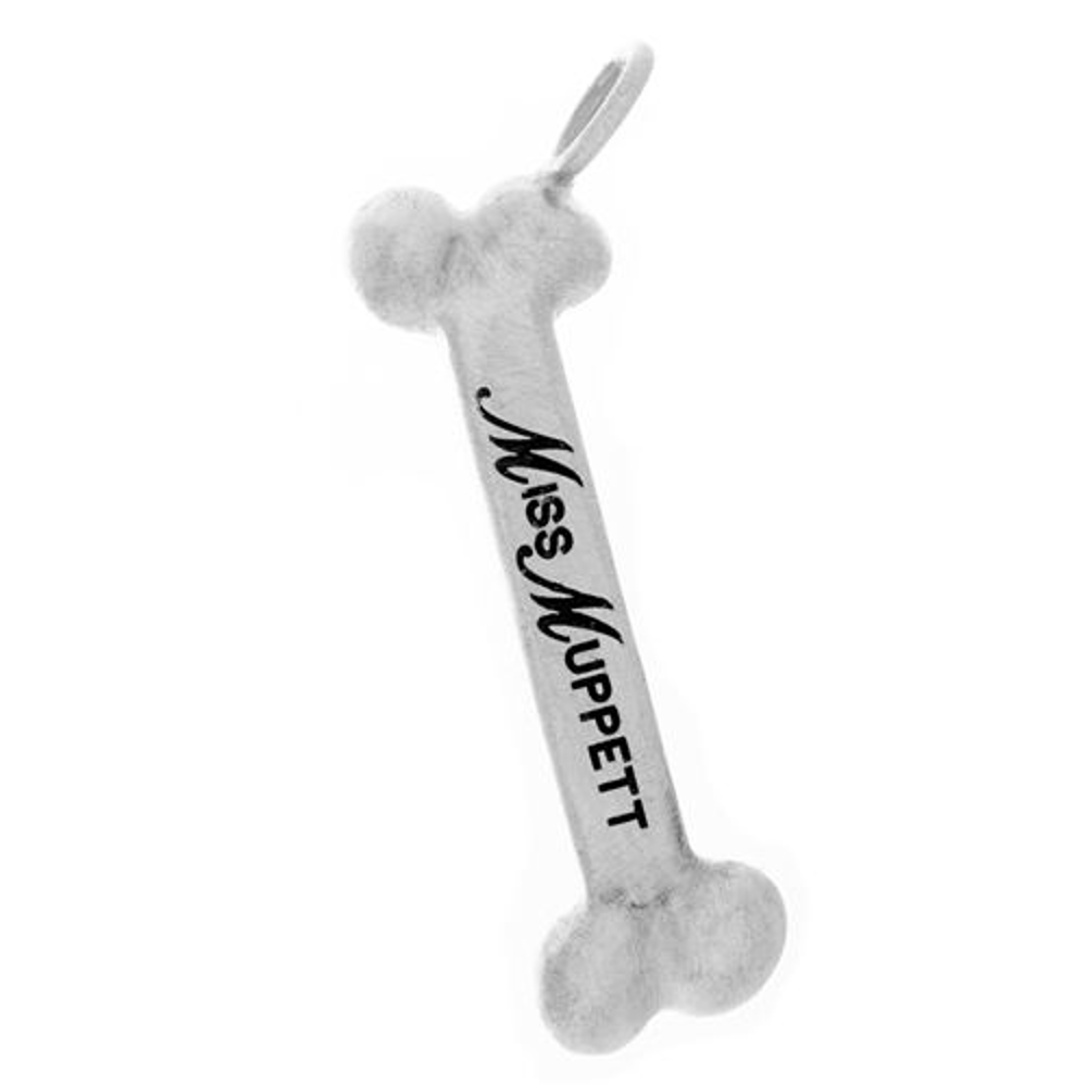 Picture of Silver Dog Bone Charm
