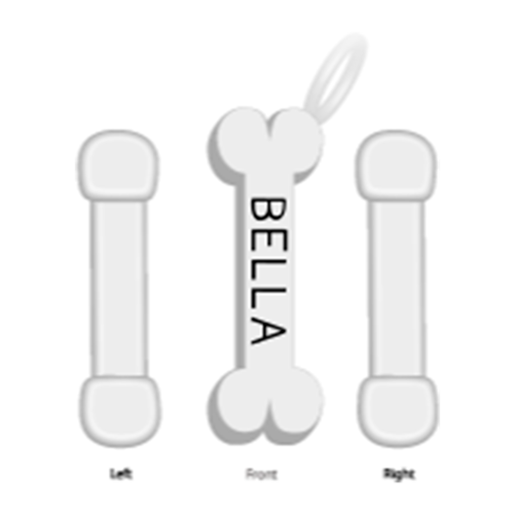 Picture of Bella Dog Bone Charm