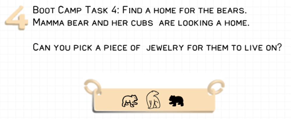 Picture of Task 4 - Find a piece of jewelry for the bears to live on